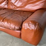 Sofa "Bengodi" by Cini Boeri for Arflex, Italy 1960's