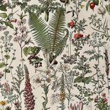 Reserved Chloé - Lot of 2 20th century lithos.