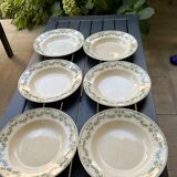 6 hollow plates badonvillers model champagne