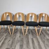 Dining Chairs by Antonin Suman, 1960s, Set of 4