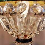 Grape variety chandelier