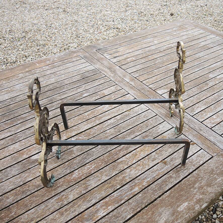 Antique brass andirons with lion decoration