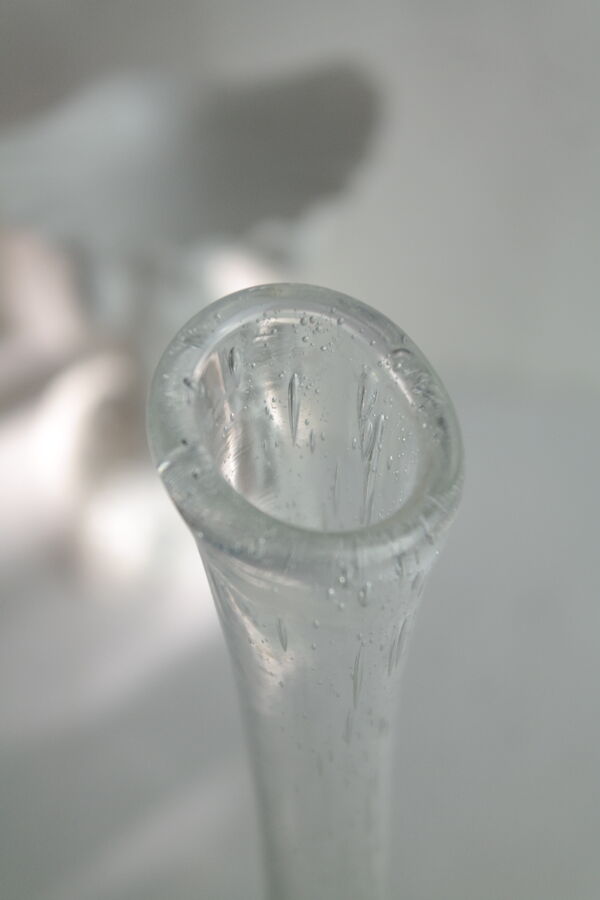 Paire de soliflores en verre soufflé bullé biot vintage