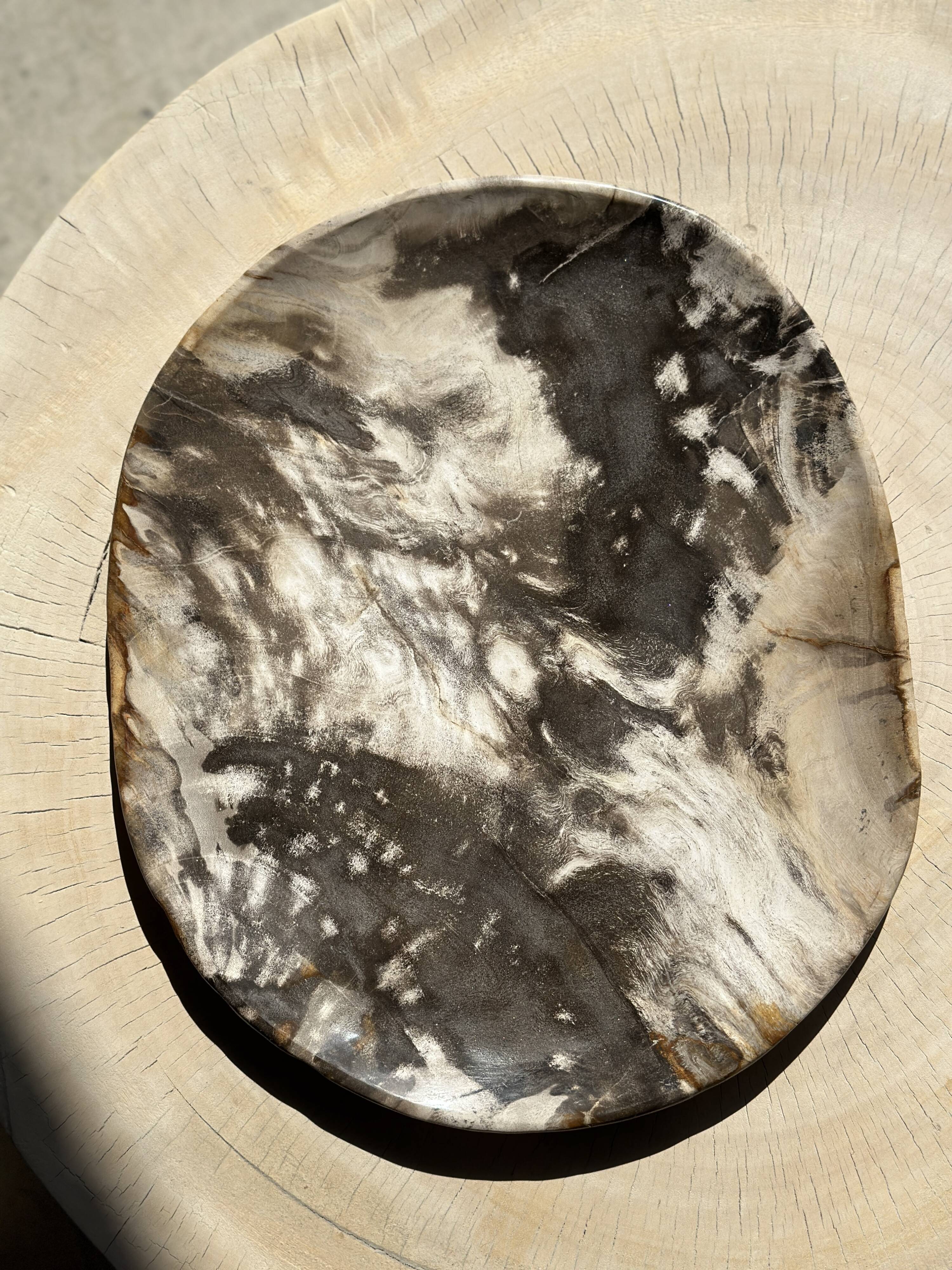 Very large pocket or dish in petrified wood