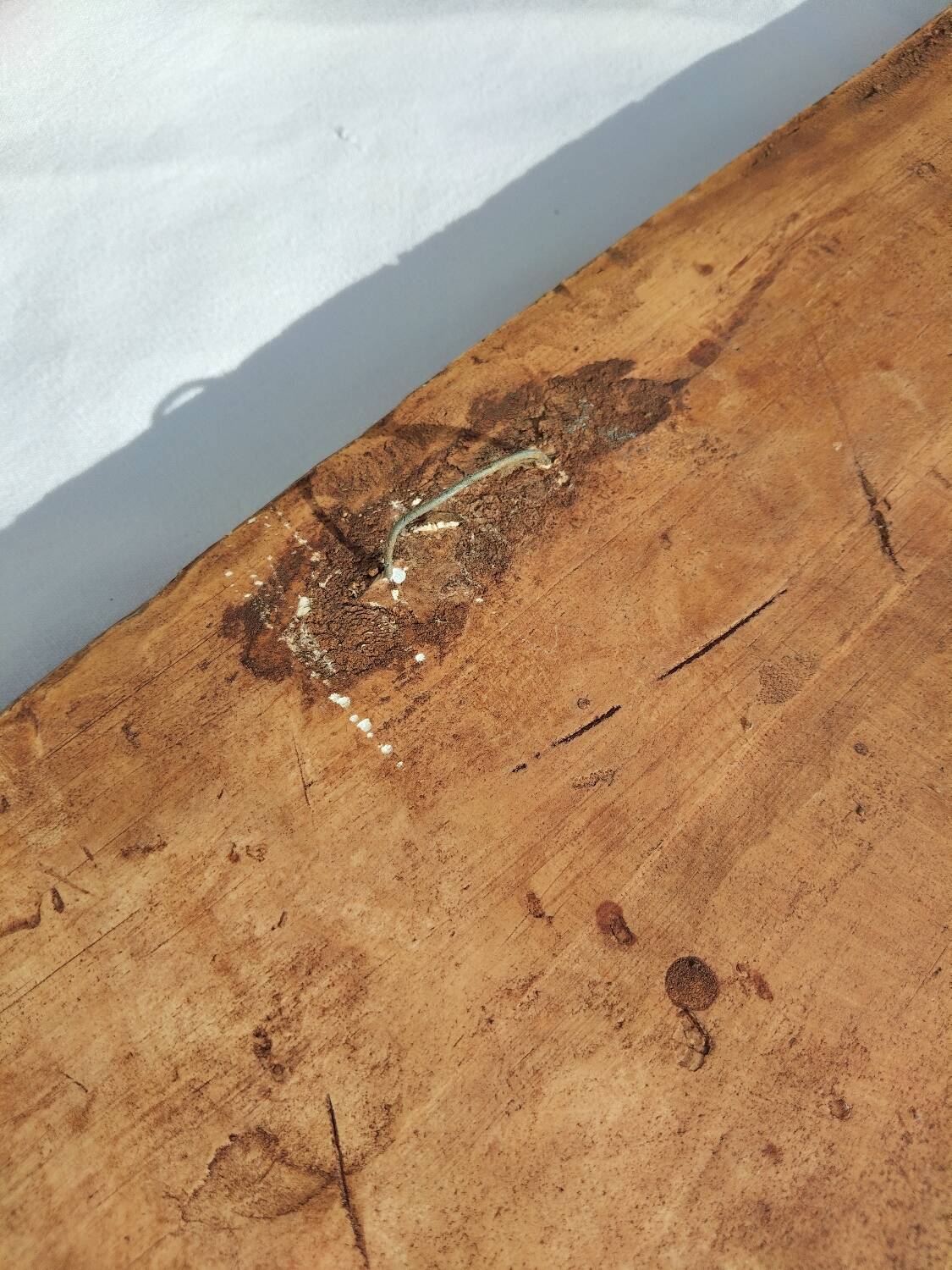 Bas-relief plaster scene of horses and a cart.