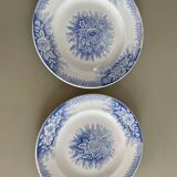 Set of 2 St Amand ironstone plates, Jardinière model
