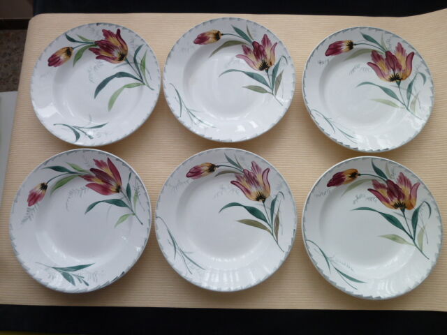 Set of 6 hollow plates in Earthenware of St Amand Hamage