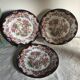 Set of 3 Antique Sarreguemines Dessert Plates: Hand-Painted Floral Ceramic