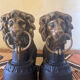 Fireplace - 1900-1910 pair of cast iron andirons