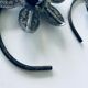Paire de bougeoirs nénuphar en fer