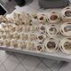 Table service 102 pieces Sarreguemines Obernai 1950s
