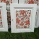 Lot 8 portes de placards anciennes sapin massif