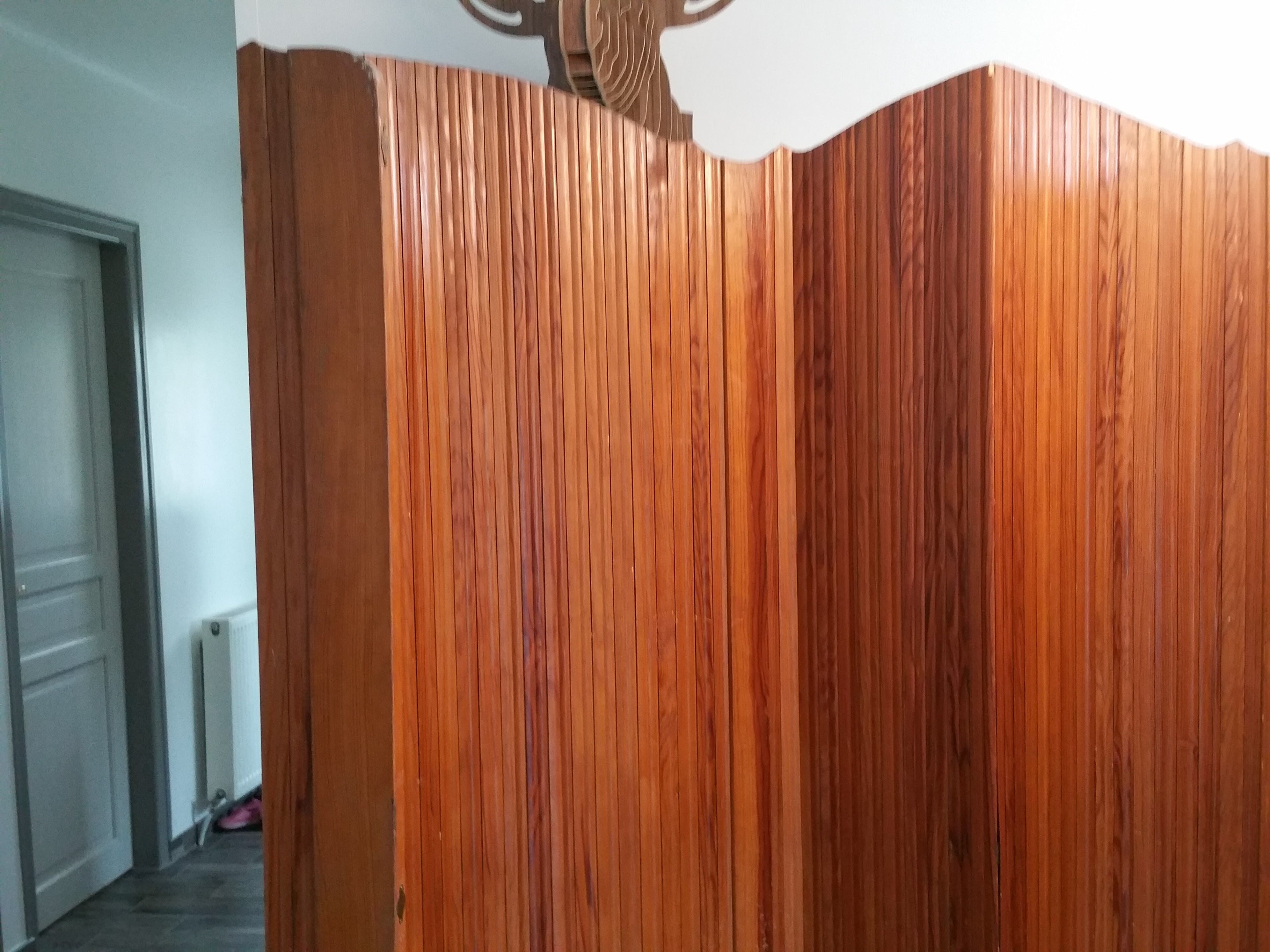 Screen the 1950s NSH