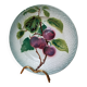 Old barbotine plate with plum motif Saint Amand Hamage