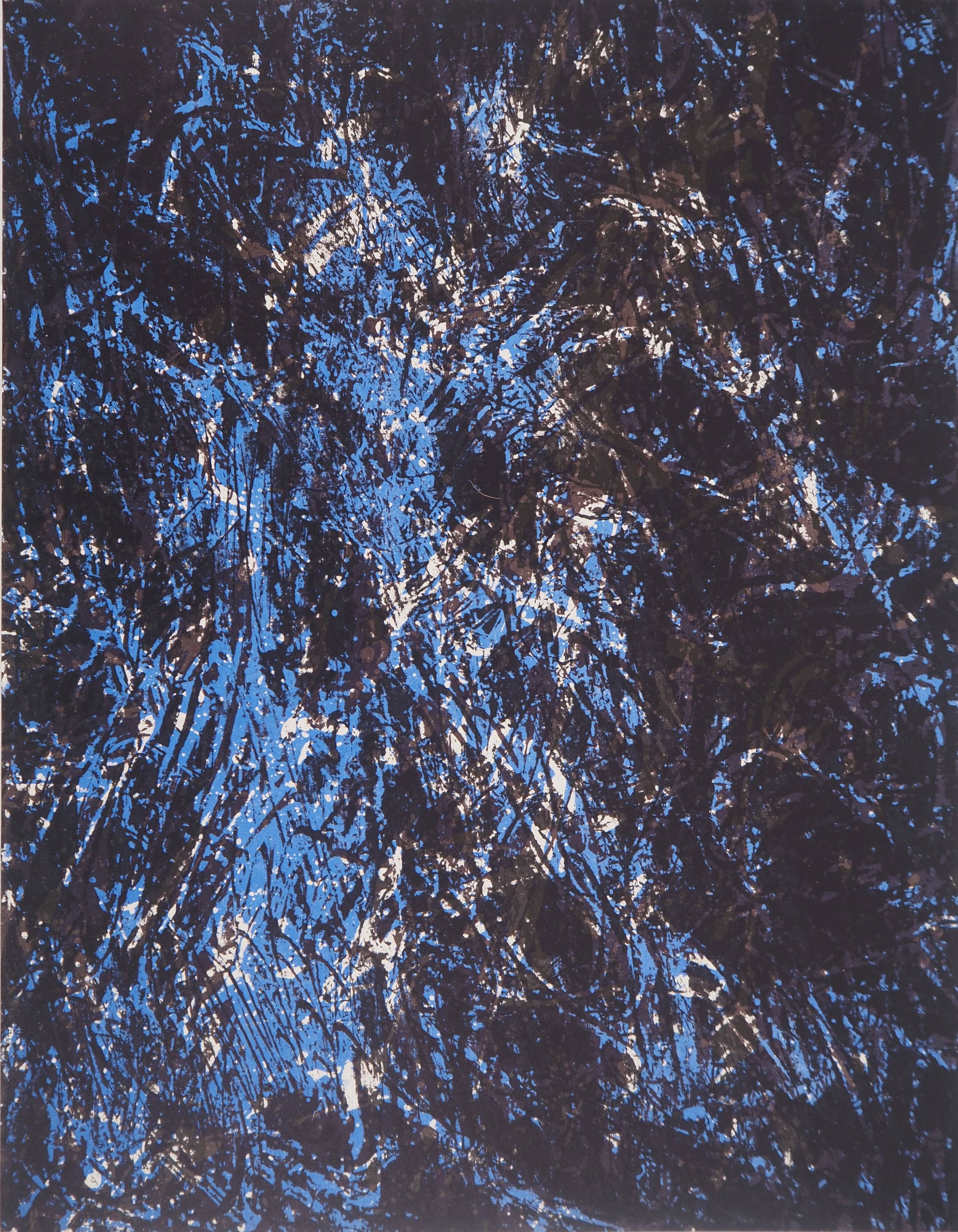 François fiedler: composition in blue - original lithograph