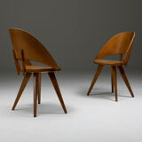 Italian Plywood Dining Chairs