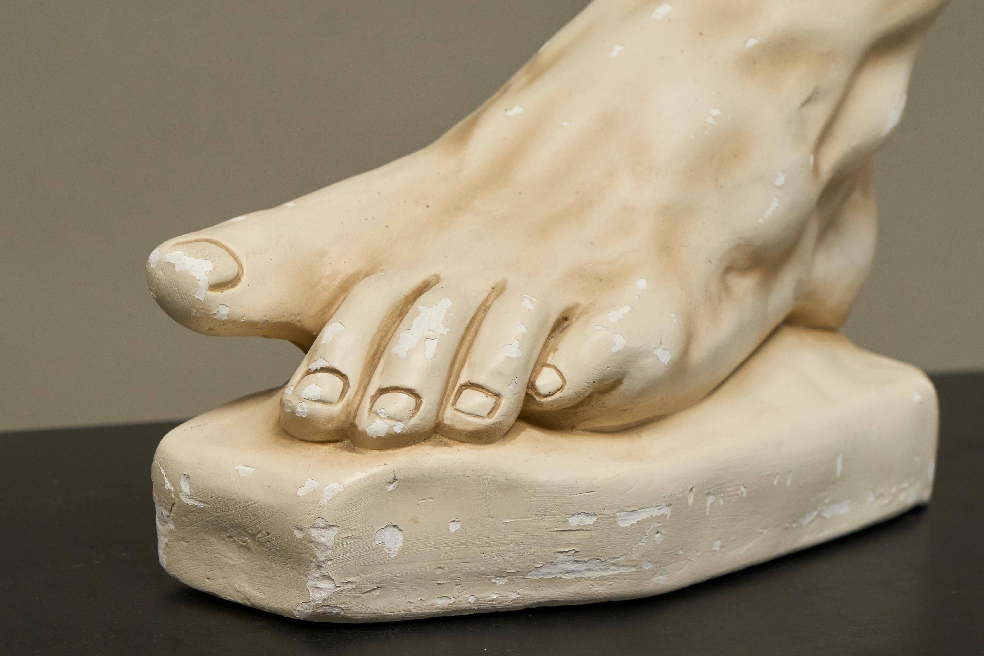 Anatomical study of a plaster foot from the 1950s.