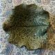 Cabbage leaf cups