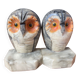 Greenhouse books owl