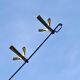 Vintage coat rack in lacquered metal with three golden aluminum hooks