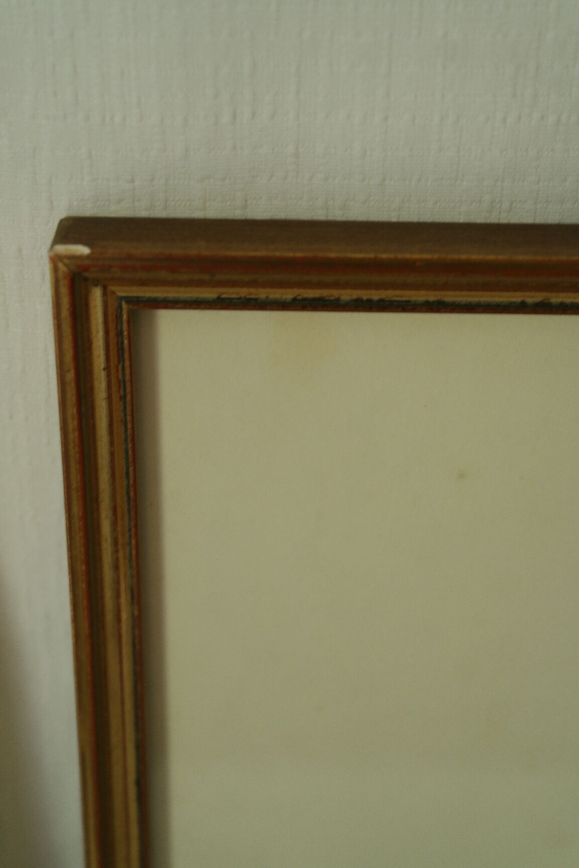Paire de lithographies oiseaux sous cadre vintage