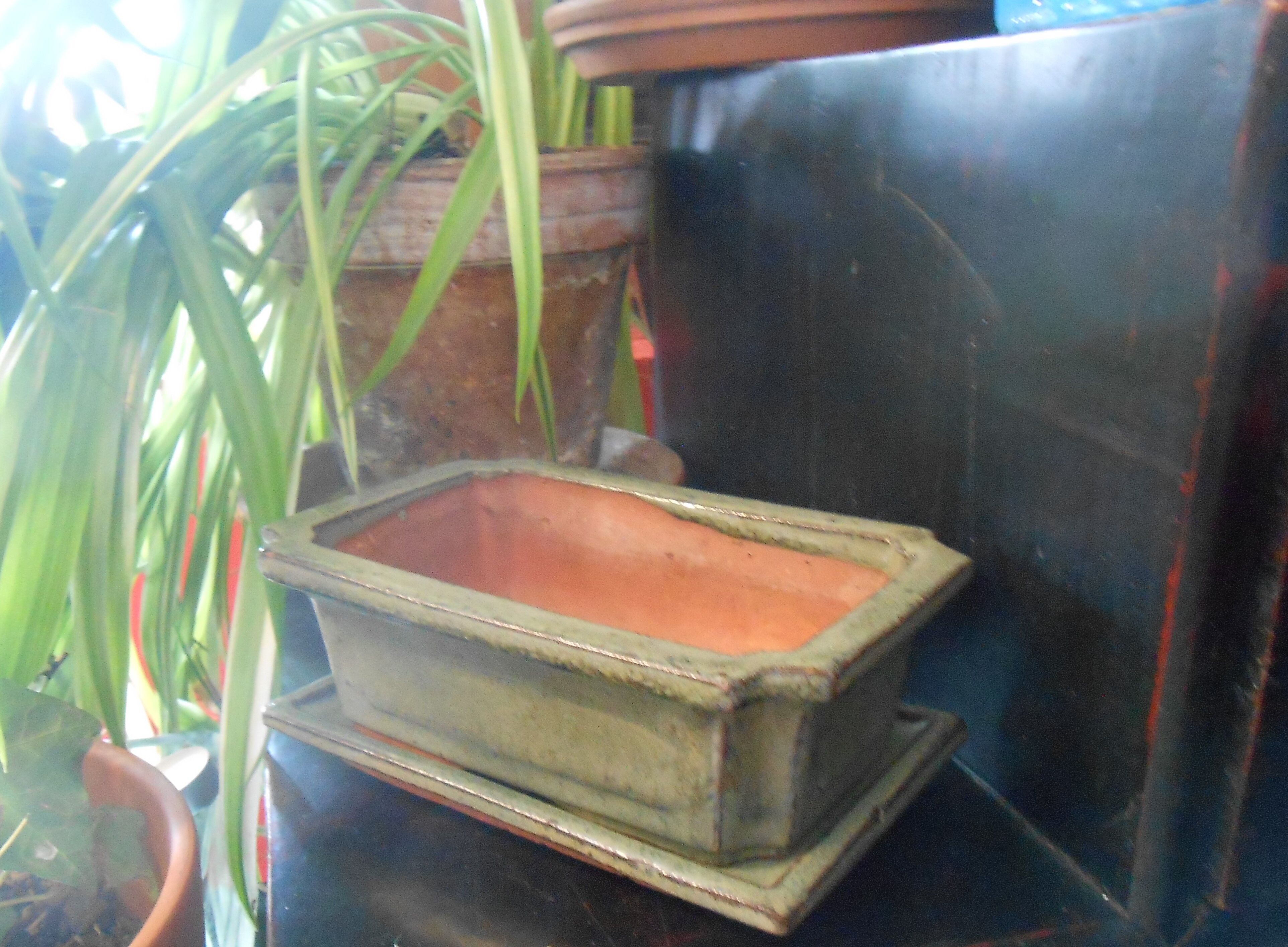 Small terracotta planter