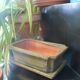 Small terracotta planter