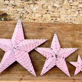 Star amish pink 30cm