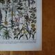 Original lithograph on medicinal plants (1)
