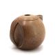 Modernist stoneware ceramic teapot by Michel Lévêque, 1950s