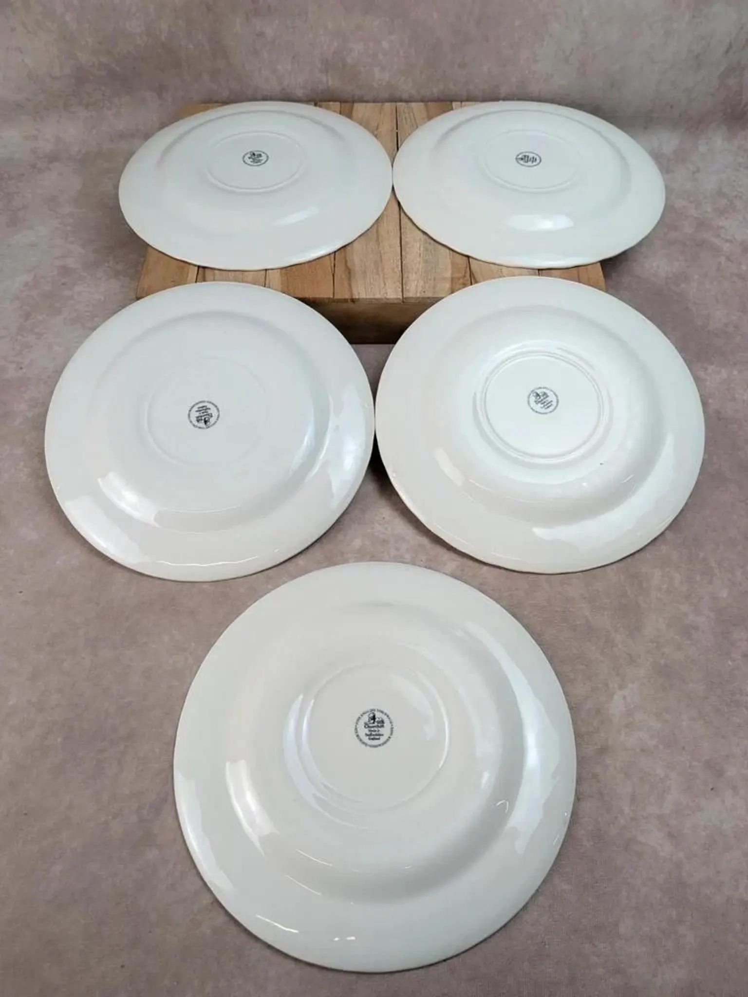Set of 5 Churchill Briar Rose dinner plates – Vintage English earthenware