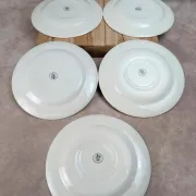 Set of 5 Churchill Briar Rose dinner plates – Vintage English earthenware