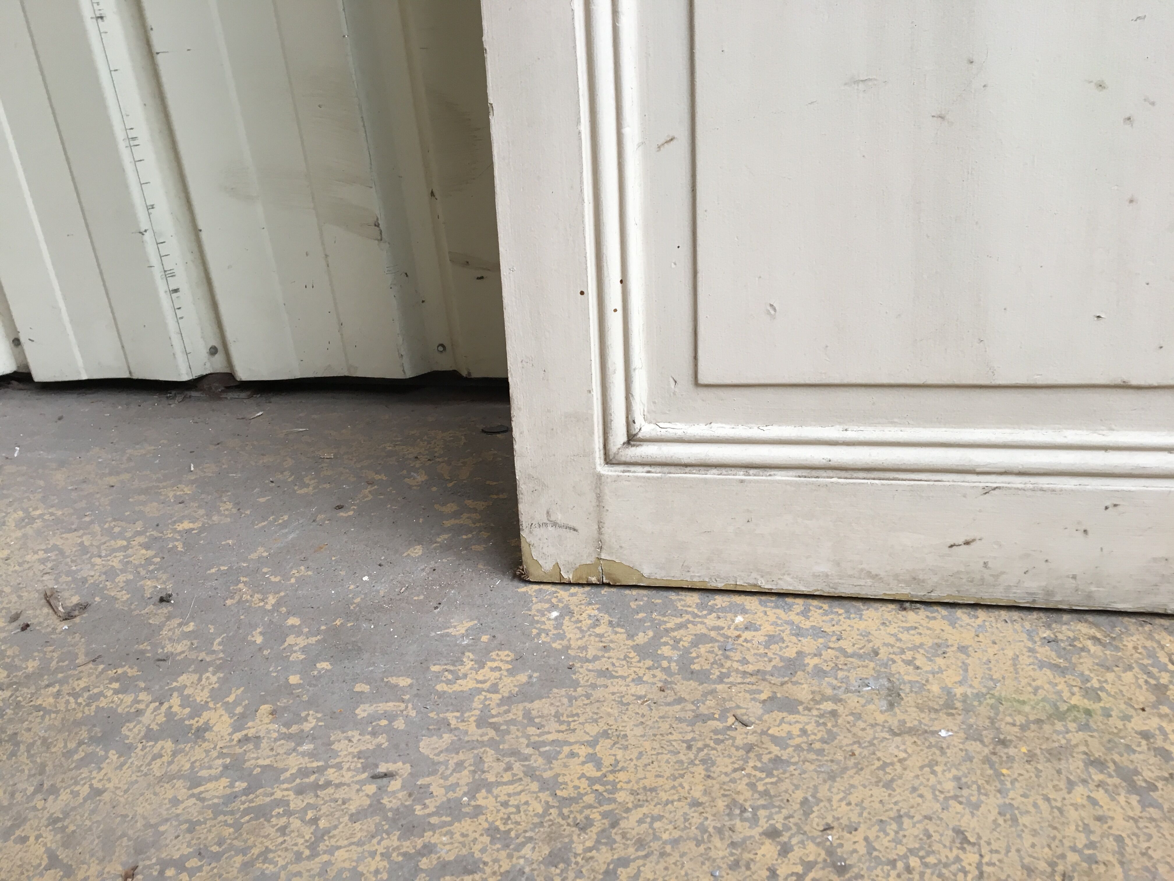 Old Haussmanian interior door