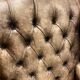 Xixth century  english georgian cigar leather wingback library chairs