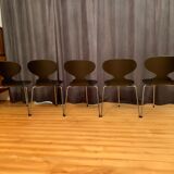 A set of five chairs Early model 3100 by Arne Jacobsen, Fritz Hansen, Denmark, 1963