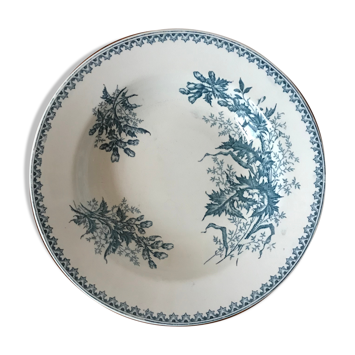 Saladier iron earth Thistle