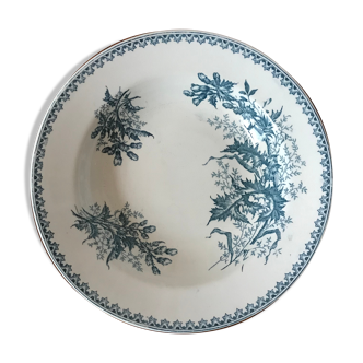 Saladier iron earth Thistle