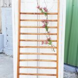 Espalier