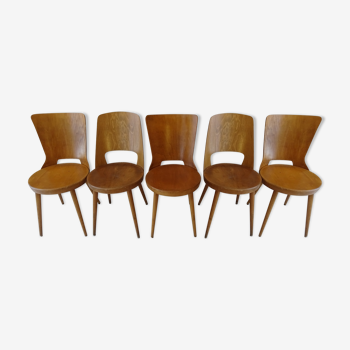 Série de 5 chaises dont 3 "Dove" et 2 "Mondor" par Baumann