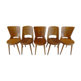 Series of 5 chairs including 3 "Dove" and 2 "Mondor" by Baumann