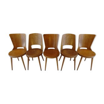 Série de 5 chaises dont 3 "Dove" et 2 "Mondor" par Baumann