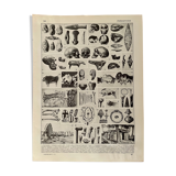 Photographic plate on the prehistory of 1928