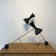 Paire de lampes