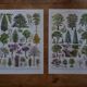 Lot of lithographs on gardens, feathers, medicinal plants and the orchard