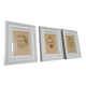 Trio d'illustrations juvéniles