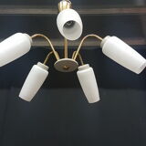 Ceiling of the 50s/60s