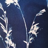 Cyanotype bleu vintage fleurs gaura