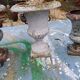 Lot of 6 Medici Cast Iron Vases from Charleville - Mézières 1900