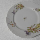 Antique porcelain plates