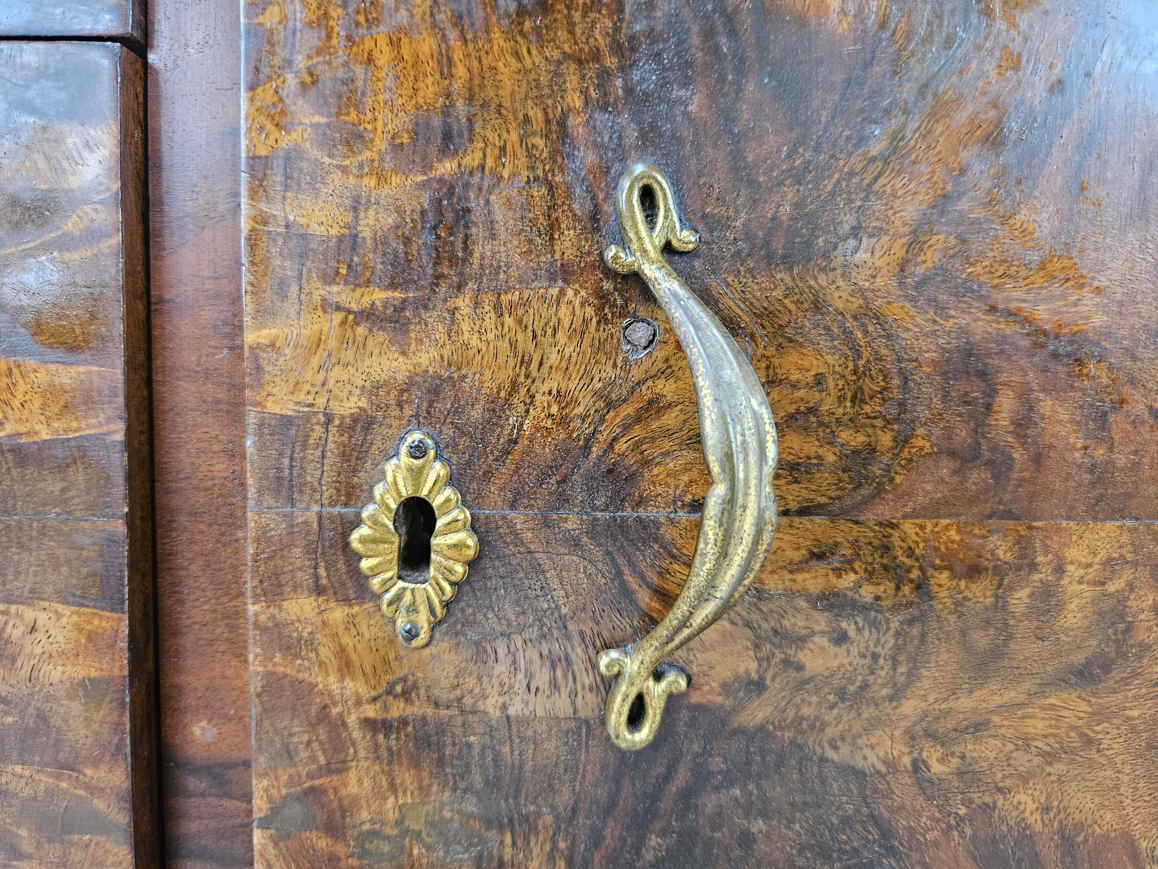 Art Decò display cabinet in walnut burl